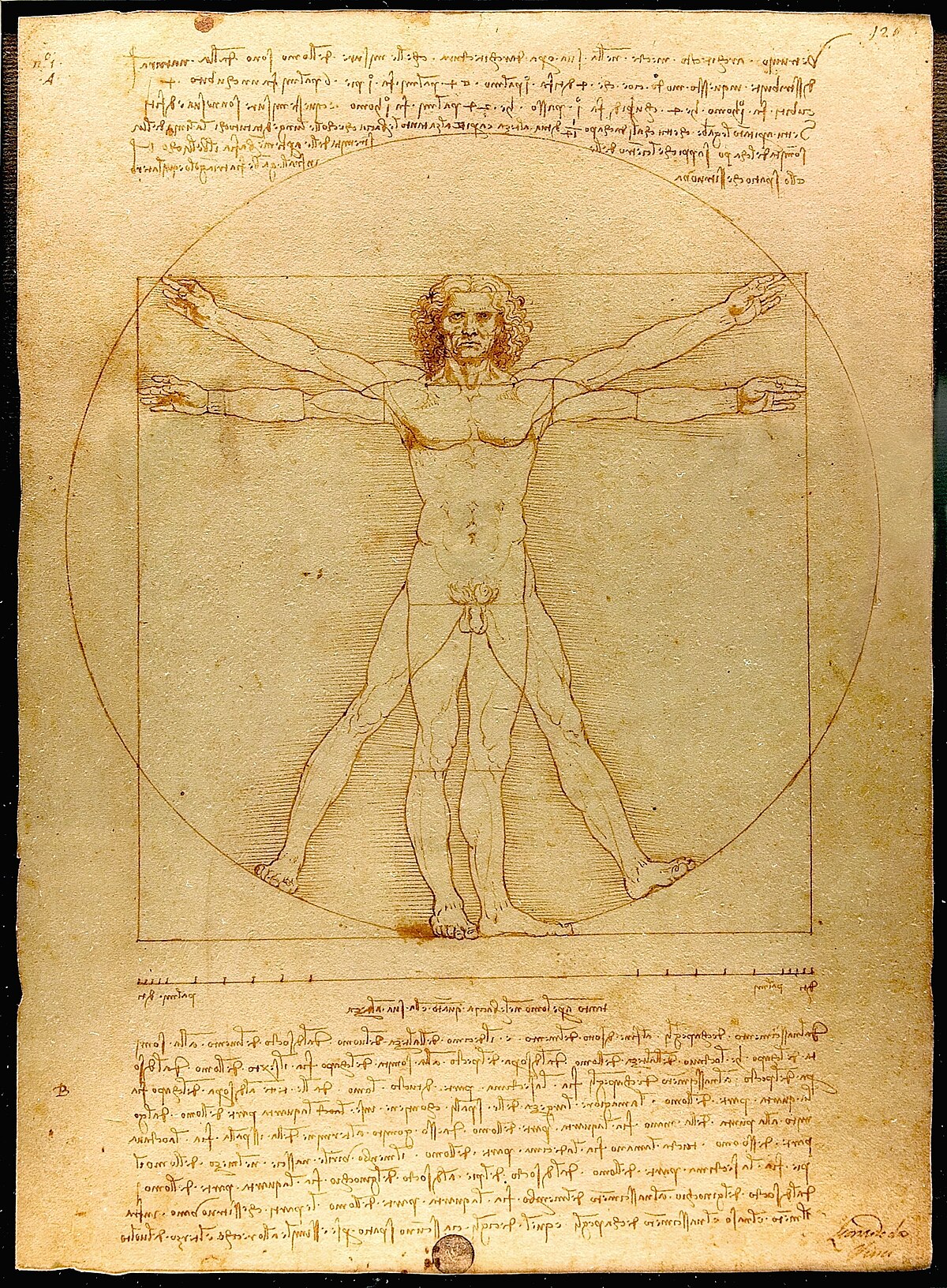 A nude male figure in two superimposed positions inscribed in a circle and a square — the human body as geometric structure itself